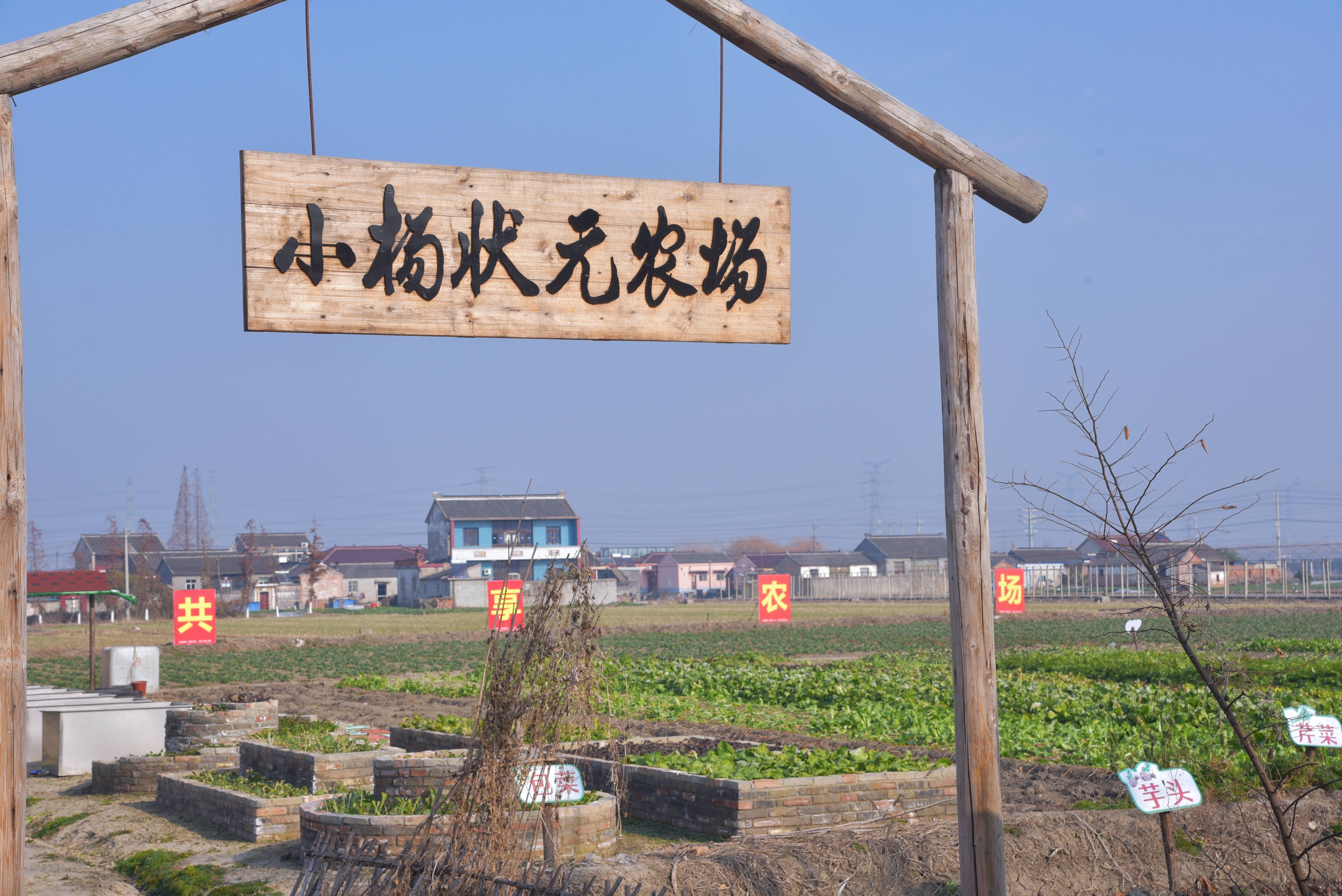 我国乡村消费潜力进一步释放，从不敢花到舍得花，老乡们的钱包怎么鼓起来的？