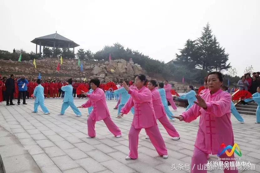 乒乓球品牌排行榜前十名，从入门到发烧，选对拍子少走弯路